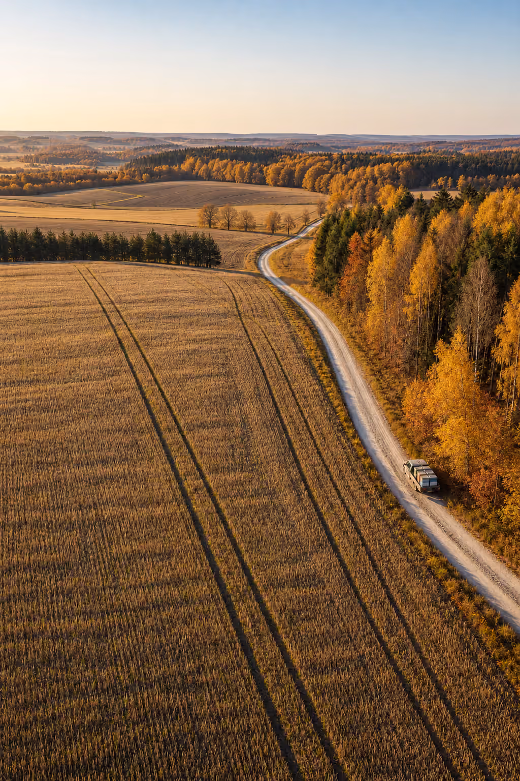 Droga przez pola i lasy przed wędrówką z ulami