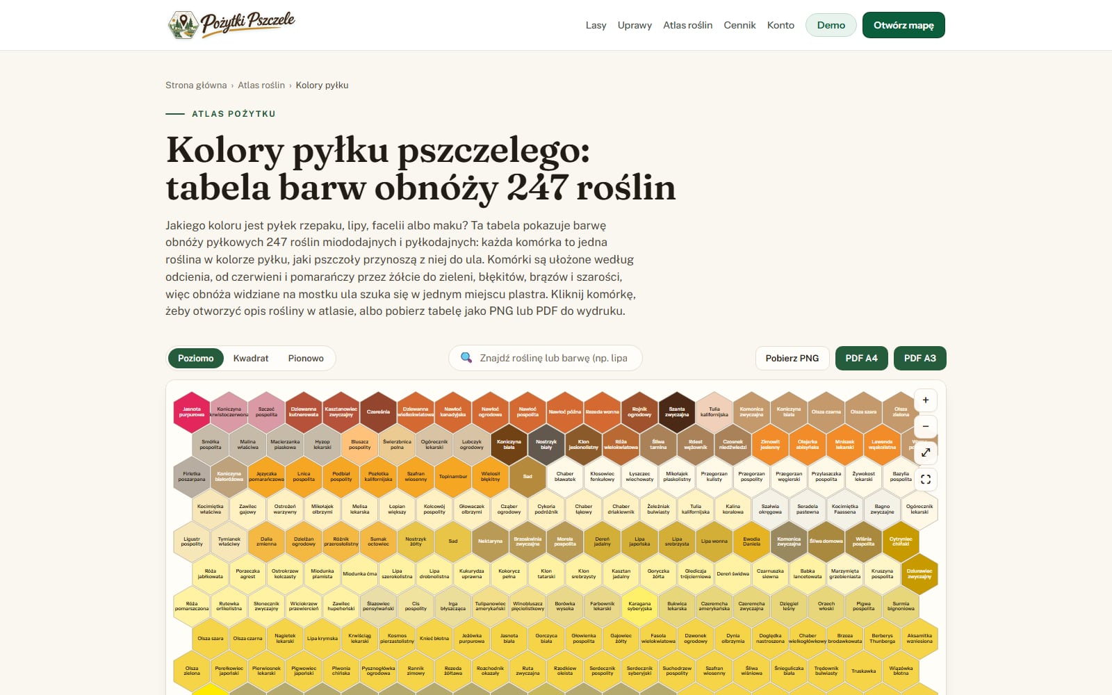 Przykład: tabela kolorów pyłku pszczelego - barwy obnóży pyłkowych roślin ułożone w plaster według odcienia